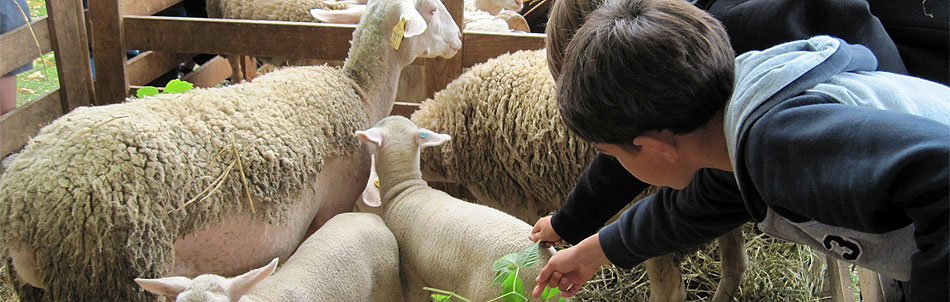 Ressourcement en pleine nature