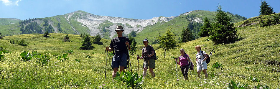 Randonnée dans le champsaur